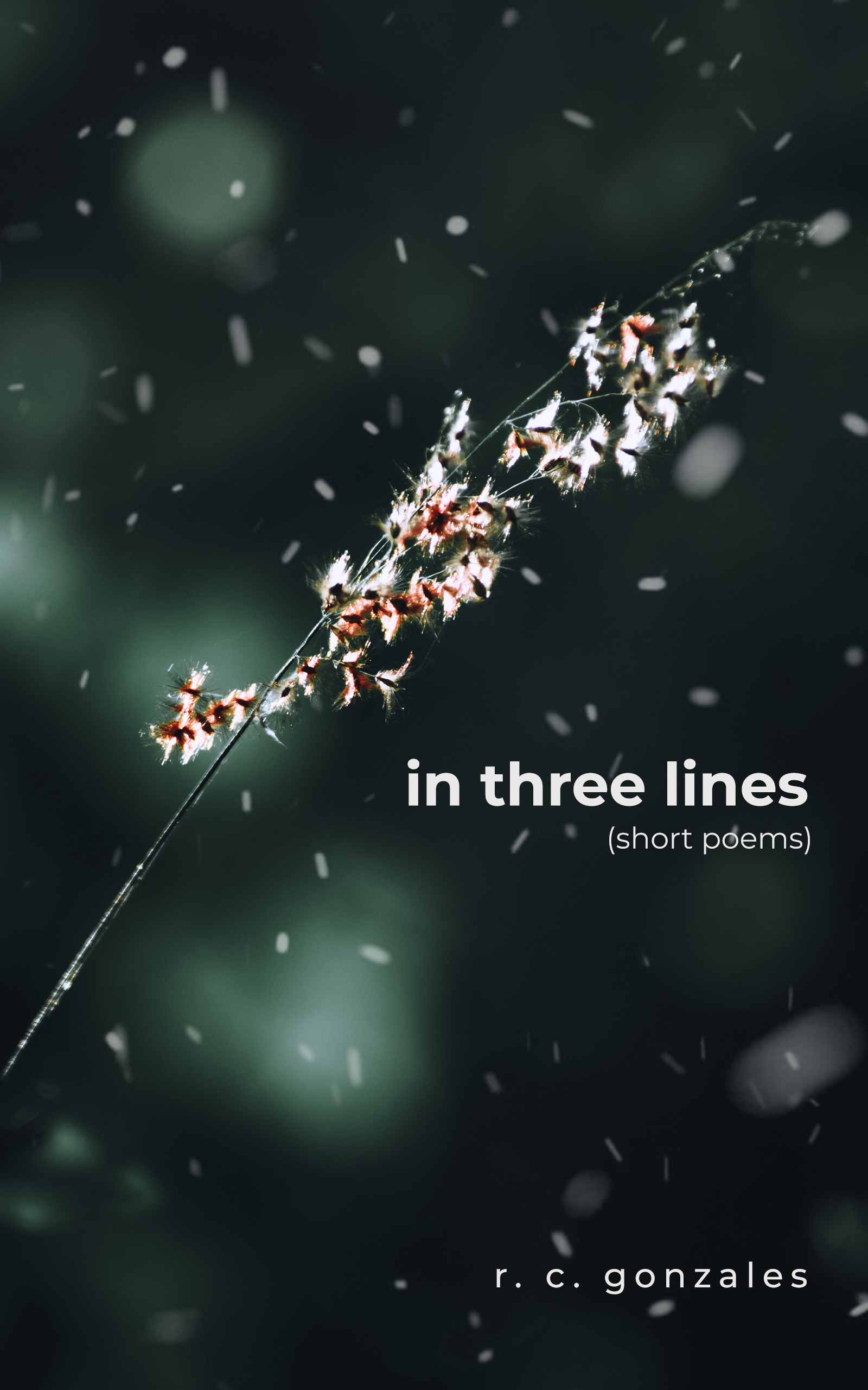 In Three Lines (short poems)
