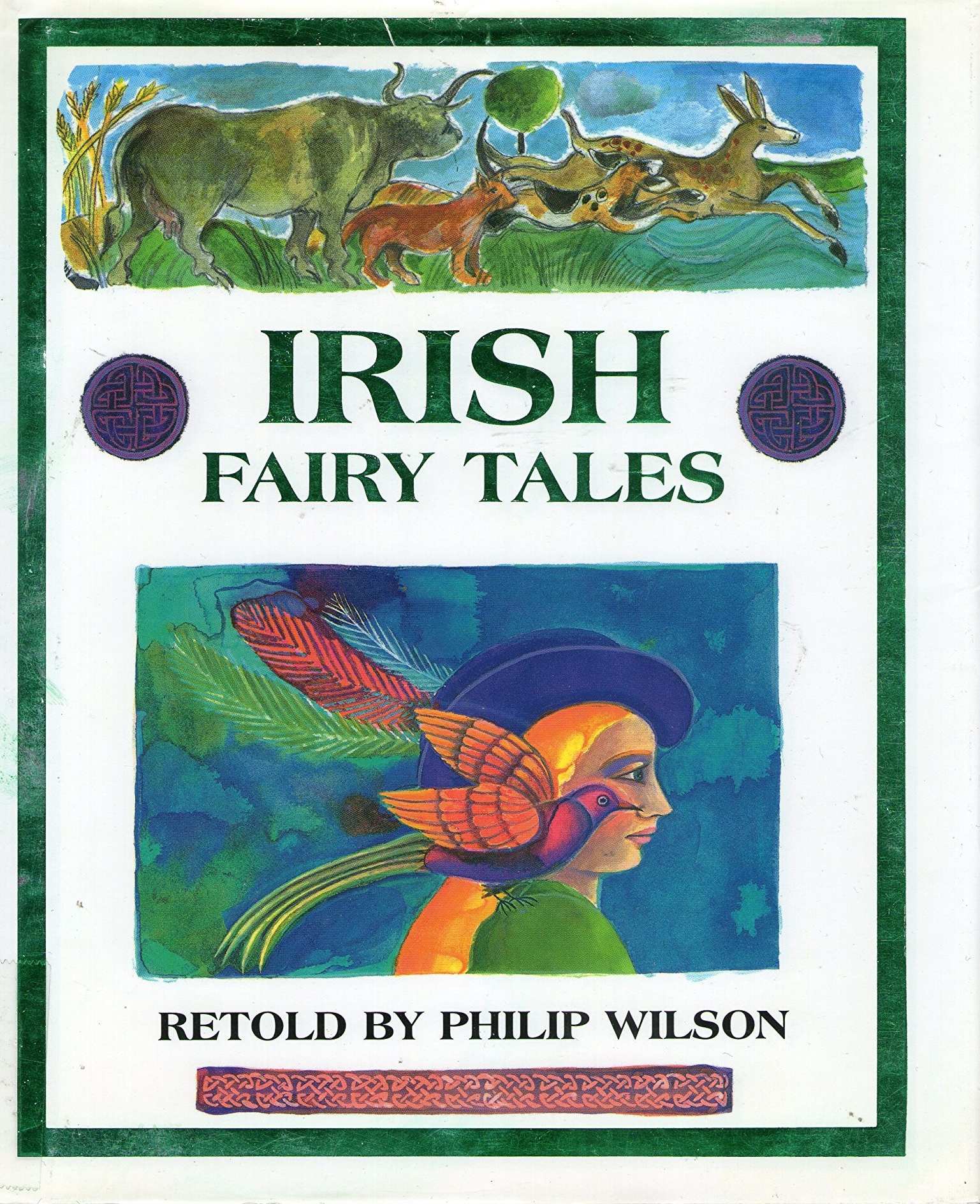 Irish Fairy Tales