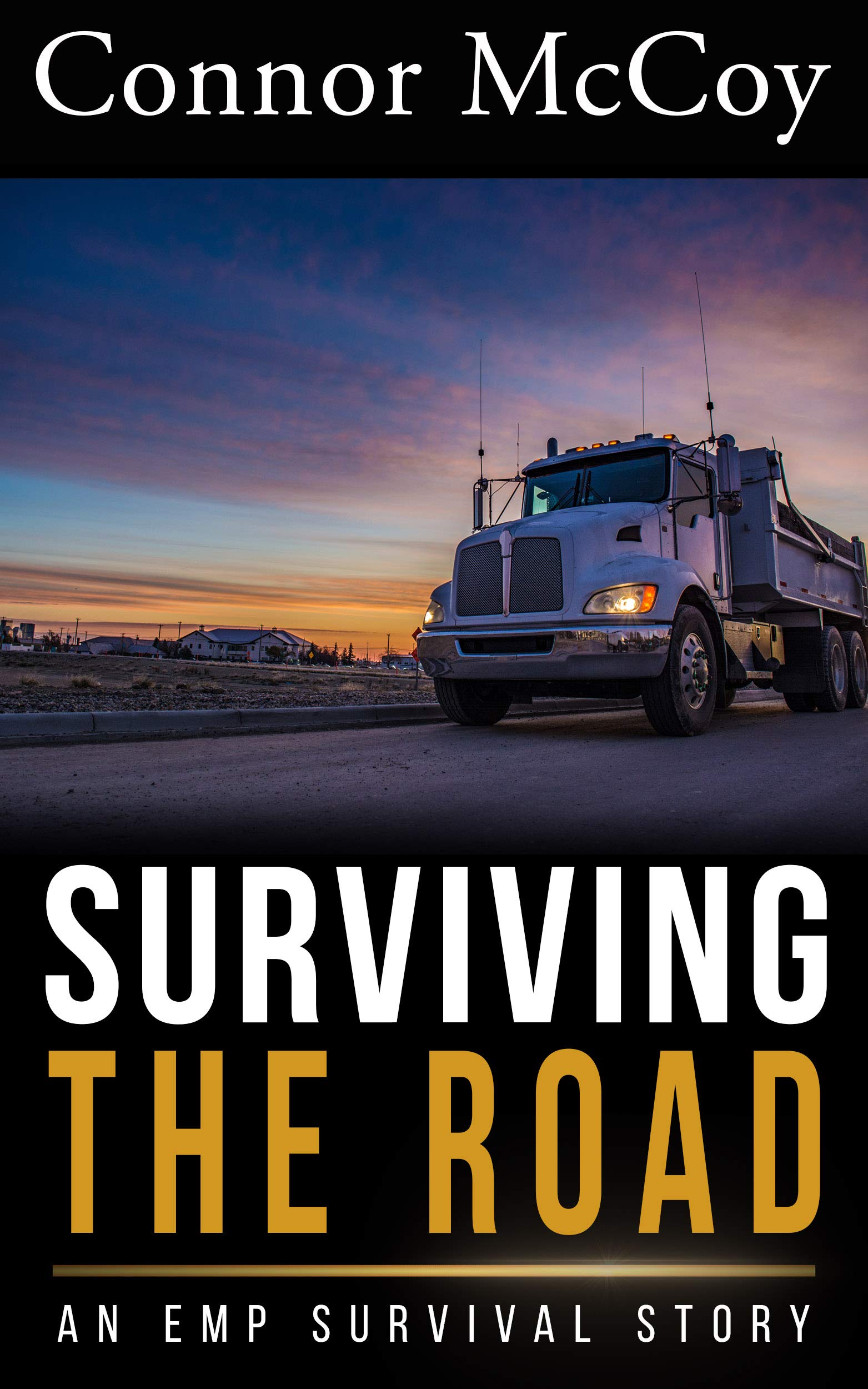 SURVIVING THE ROAD: an EMP survival story (SILENT DETONATION Book 3)