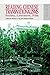 Reading Chinese Transnationalisms by Maria N. Ng