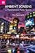 Ambient Screens and Transnational Public Spaces by Nikos Papastergiadis