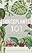 Houseplants 101: How to cho...
