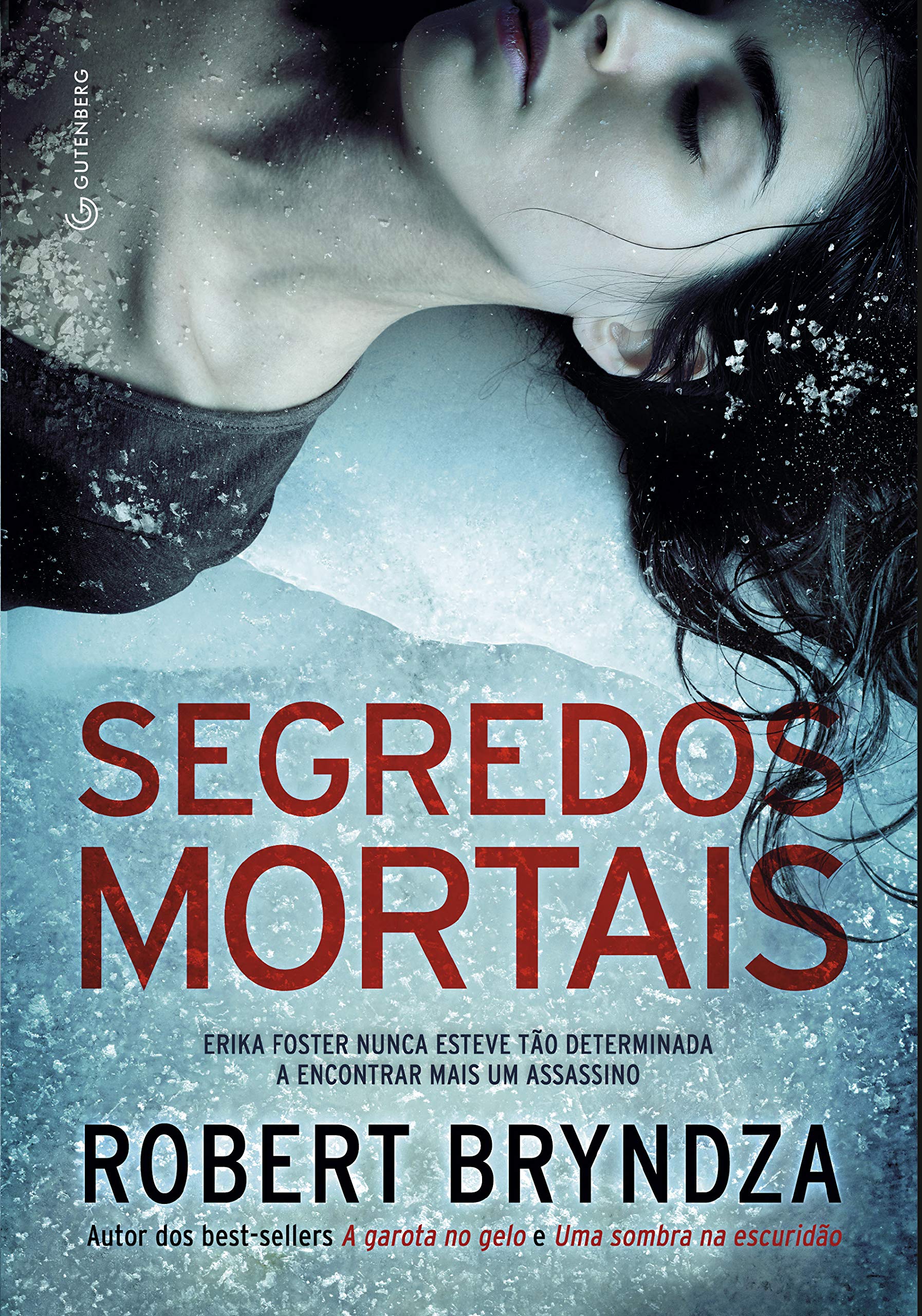 Segredos mortais (Detetive Erika Foster, #6)