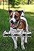 Know About Jack Russell Ter...