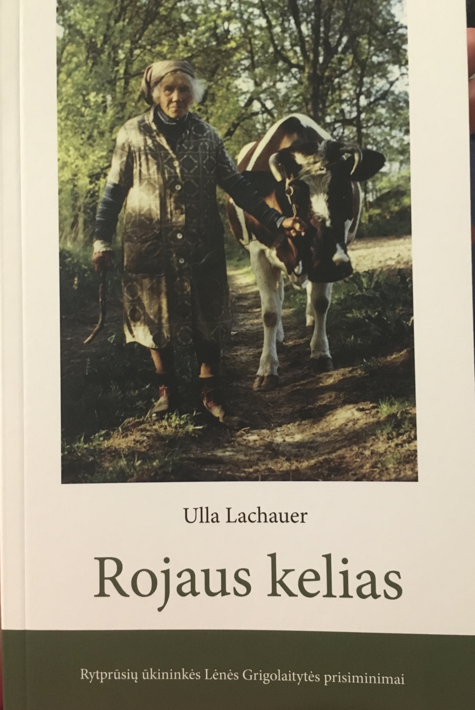Rojaus kelias (Paperback)
