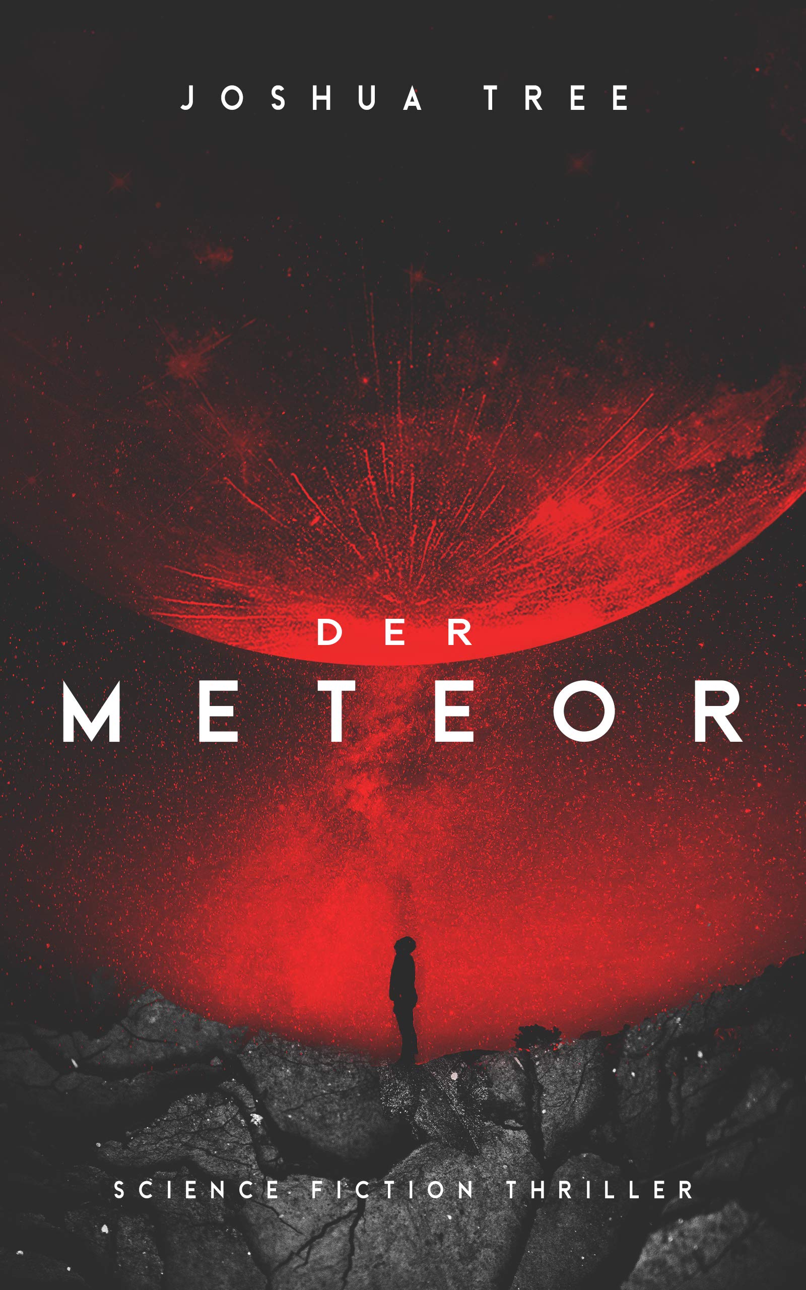 Der Meteor: Science Fiction Thriller (German Edition)
