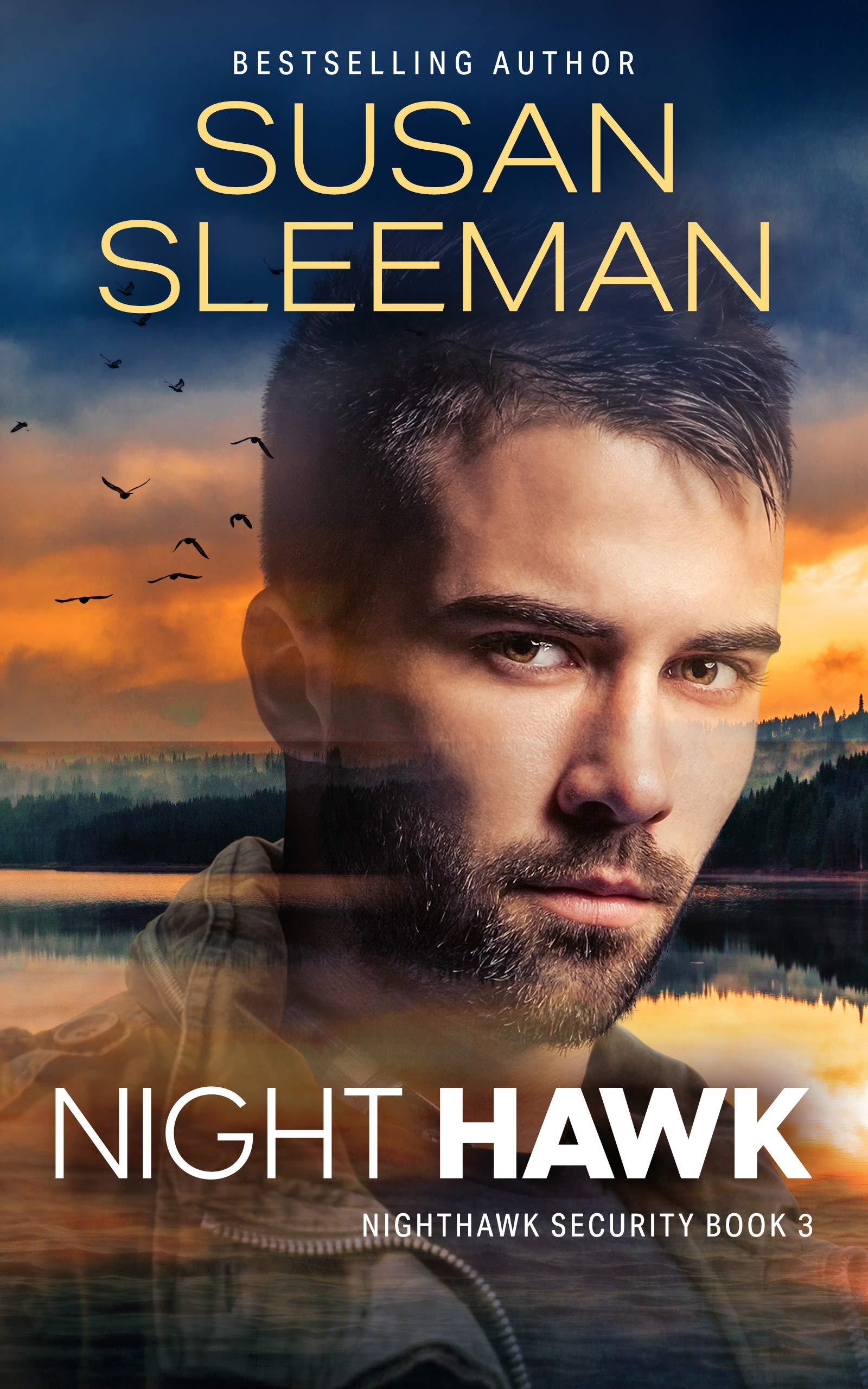 Night Hawk (Nighthawk Security #3)
