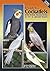A Guide to Cockatiels and their Mutations as Pet & Aviary Birds by Terry Martin
