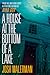 A House at the Bottom of a ...