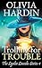 Trolling for Trouble (The Lynlee Lincoln Series)