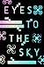 Eyes to the Sky: Privacy an...