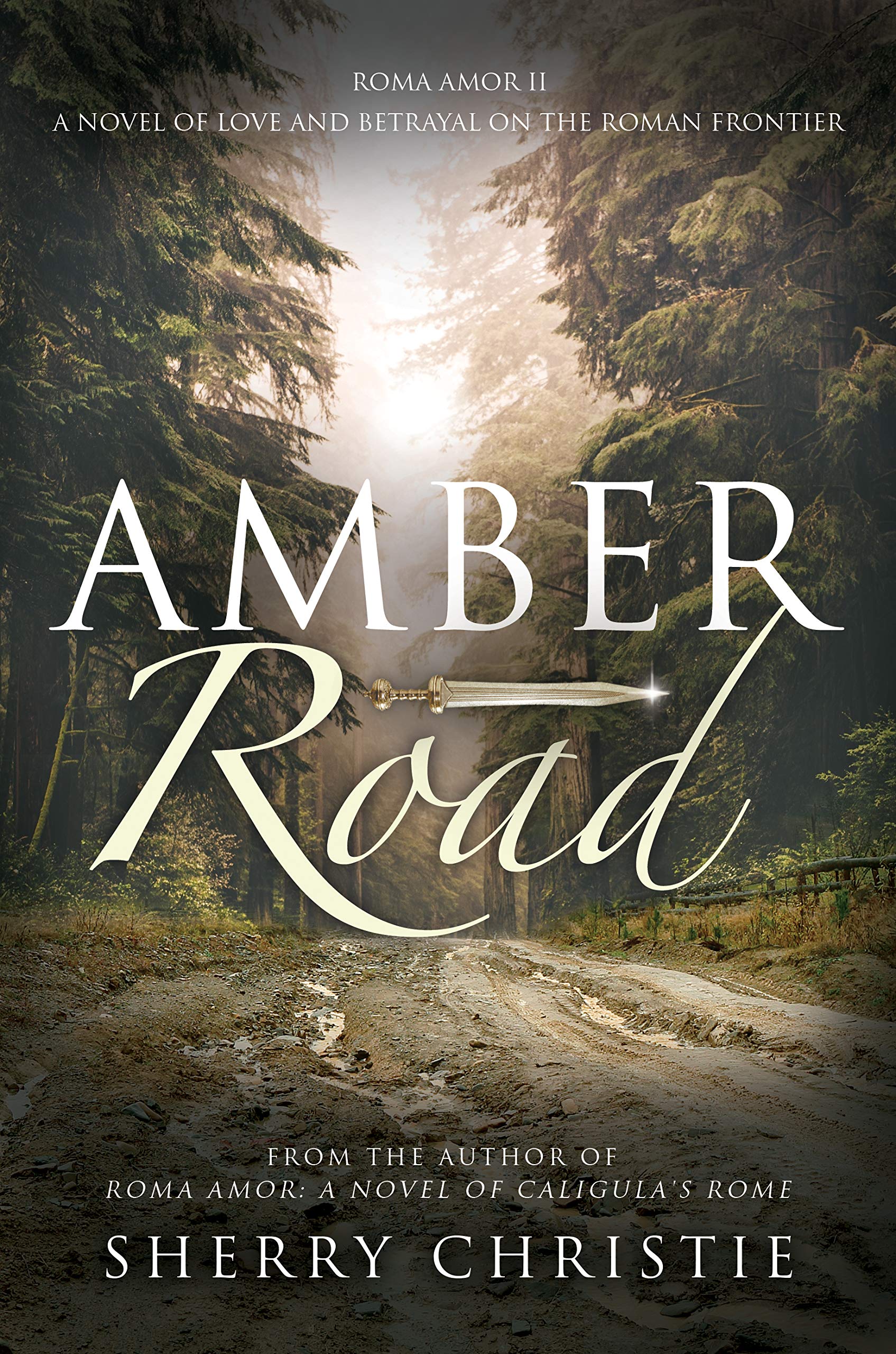 Amber Road (Roma Amor #2)