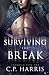 Surviving the Break (Chadwick #2)