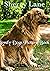 Lovely Dogs Picture Book: d...