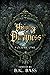 Visions of Darkness by B.K. Bass Visions of Darkness by B.K. Bass