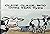 Click Clack Moo Crows: kids books ages 3-5