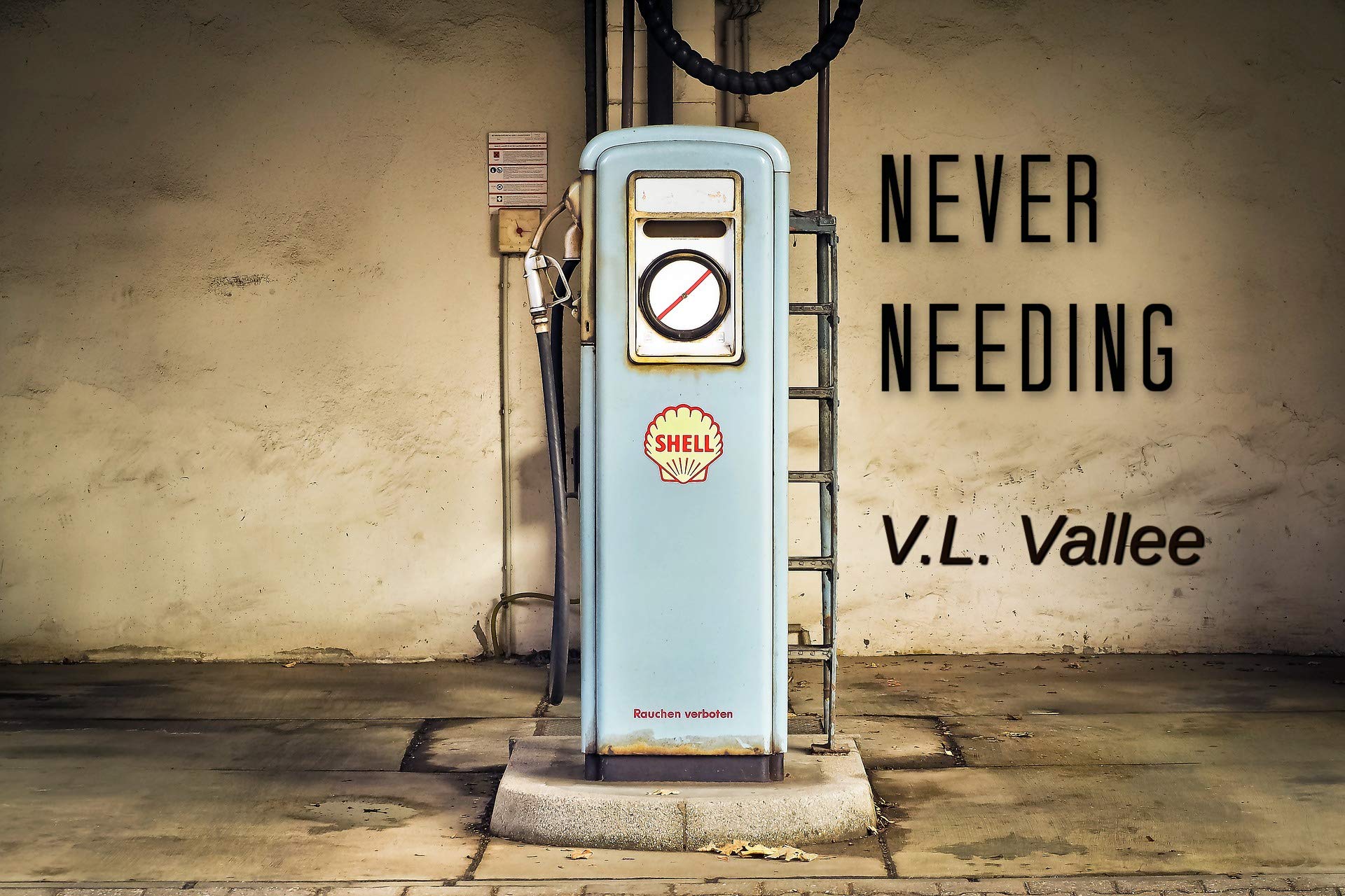 Never Needing (Kindle Edition)