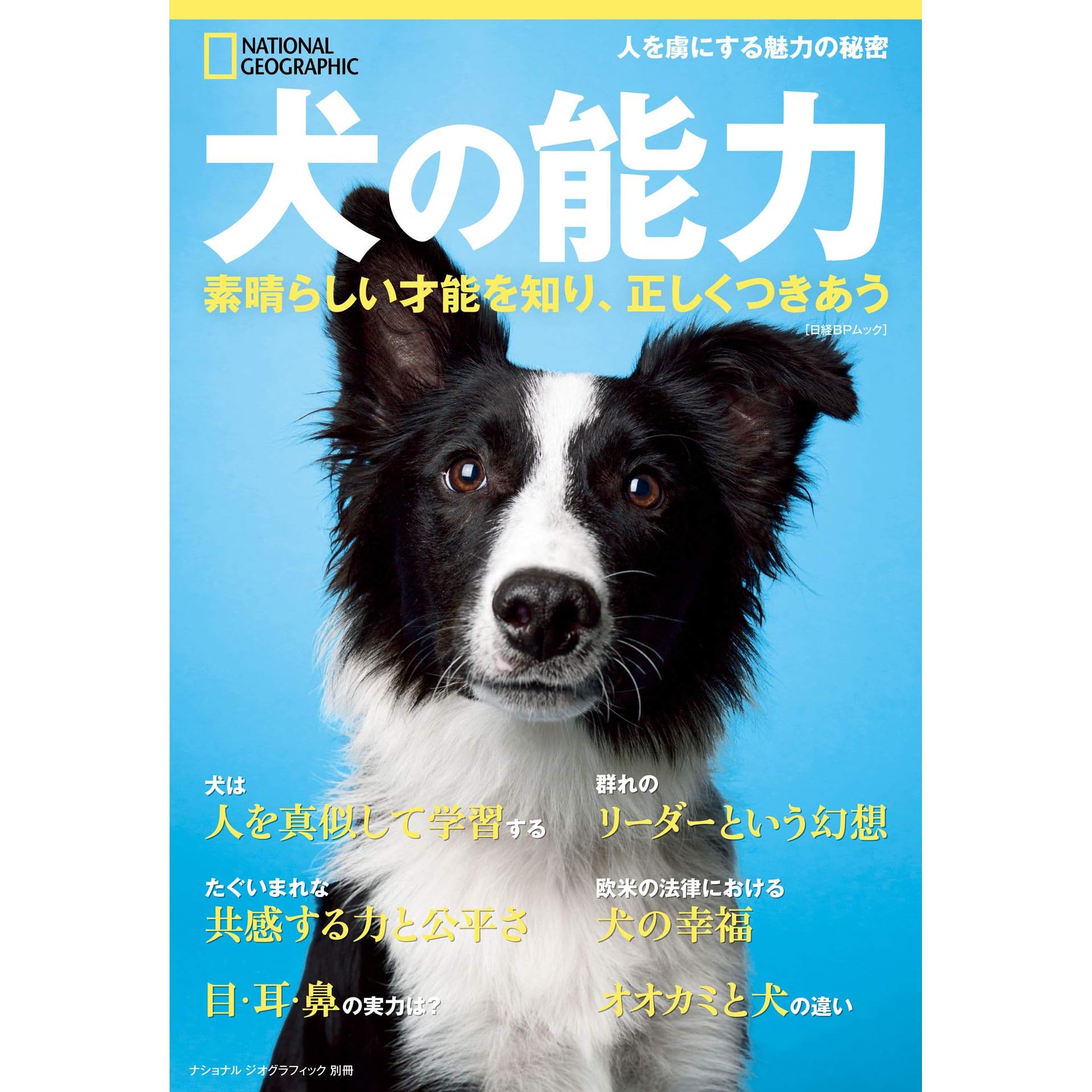 犬の能力 素晴らしい才能を知り 正しくつきあう By ナショナル ジオグラフィック