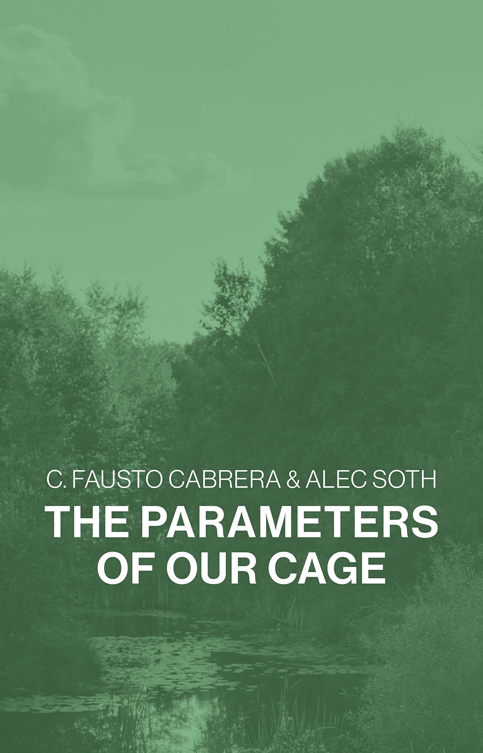 The Parameters of Our Cage (Kindle Edition)
