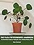 The Pilea Peperomioides Han...