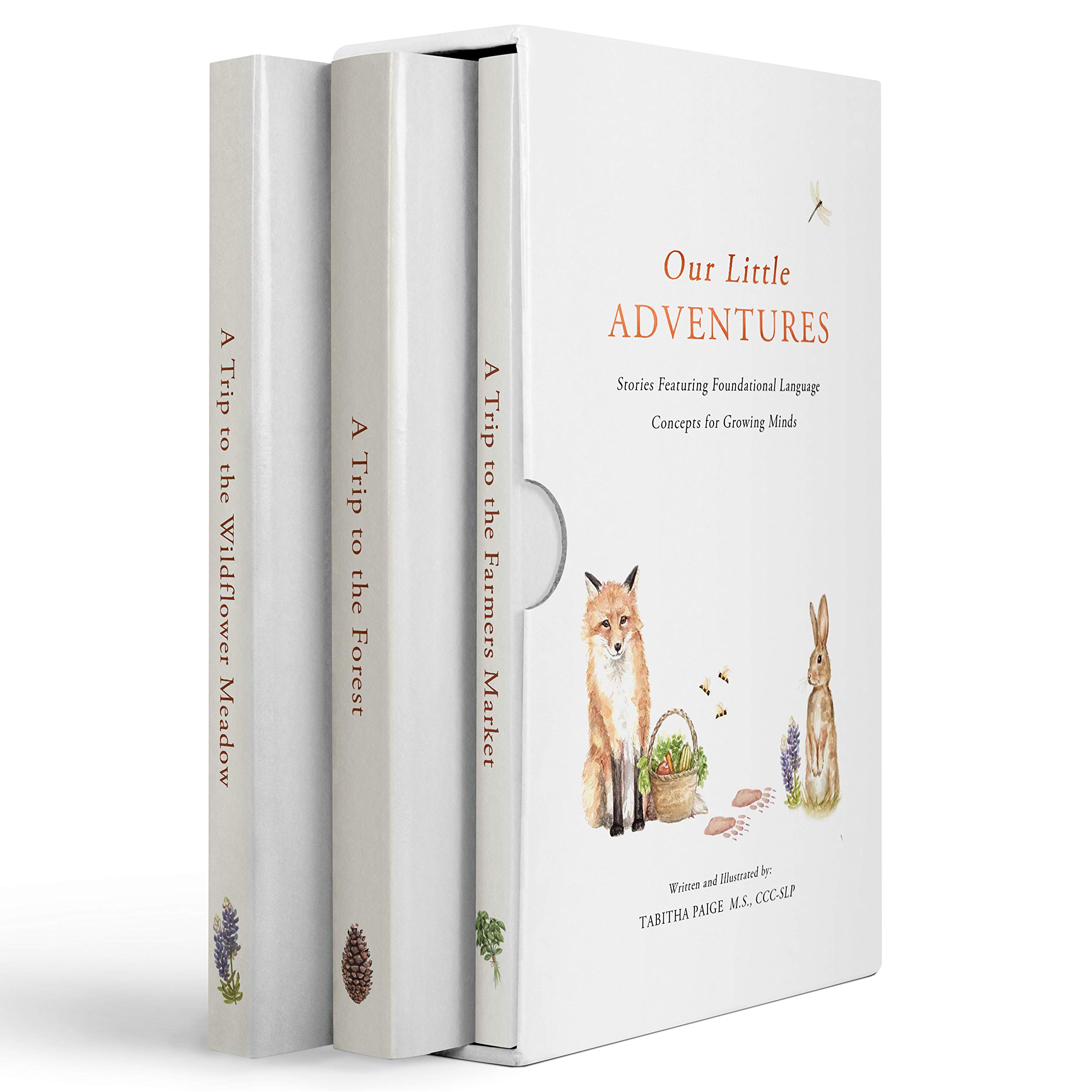 Our Little Adventures: Stories Featuring Foundational Language Concepts for Growing Minds (Tabitha Paige Children's Book Series)