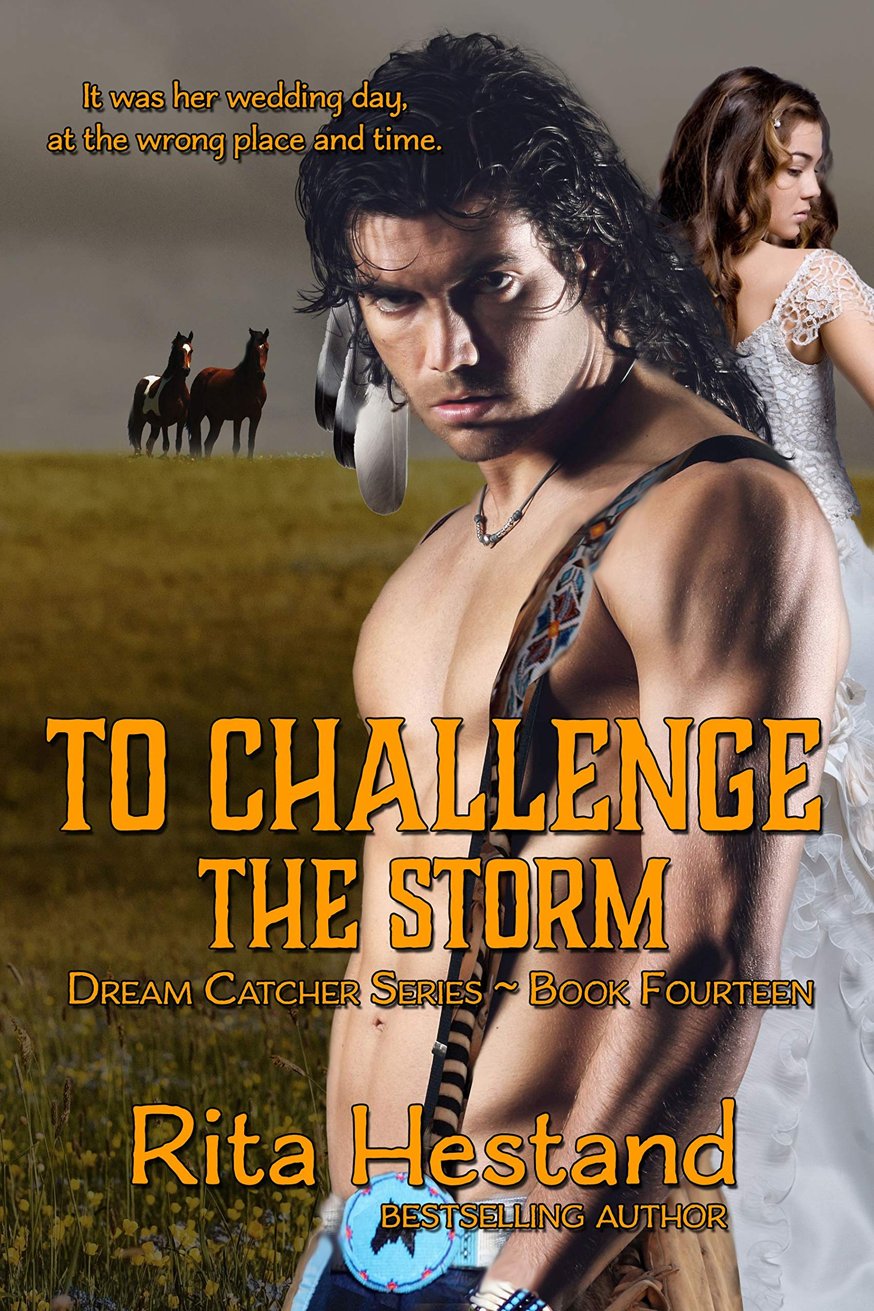 To Challenge the Storm (Dream Catcher Series)