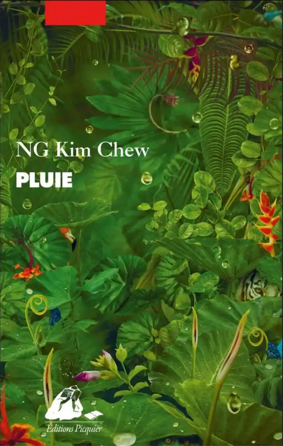 Pluie (Paperback)