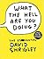What the Hell Are You Doing?: The Essential David Shrigley