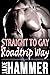 Straight to Gay the Roadtrip Way by Jake Hammer