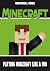 Playing Minecraft like a pr...