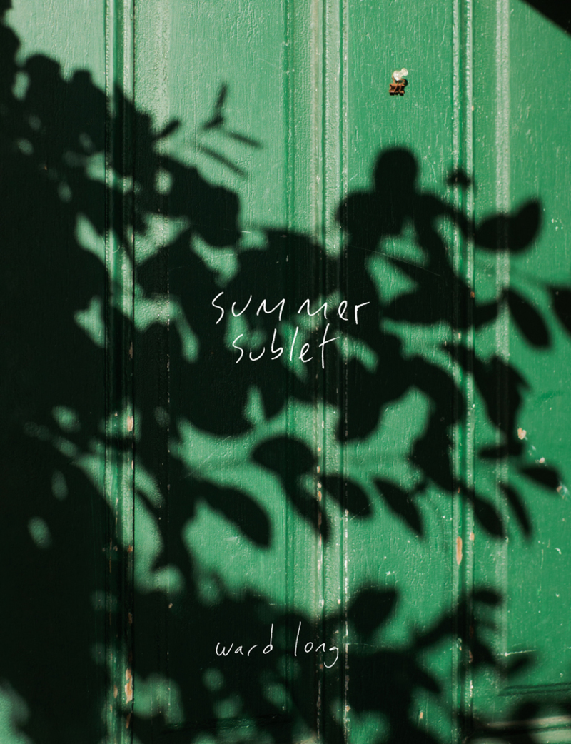 Summer Sublet (Hardcover)