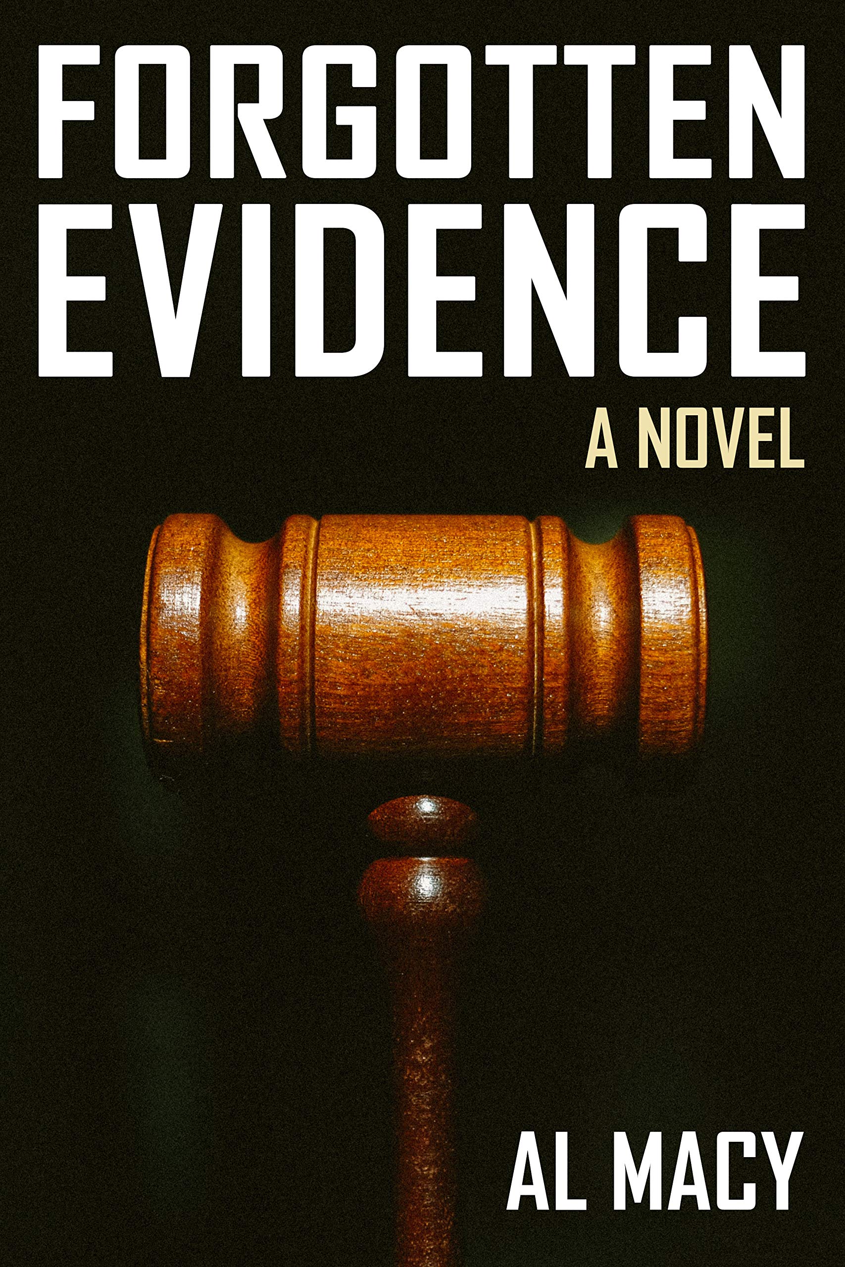 Forgotten Evidence (Goodlove and Shek, #4)