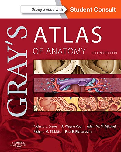 Gray's Atlas of Anatomy E-Book (Gray's Anatomy) by Richard Drake, Churchill Livingstone