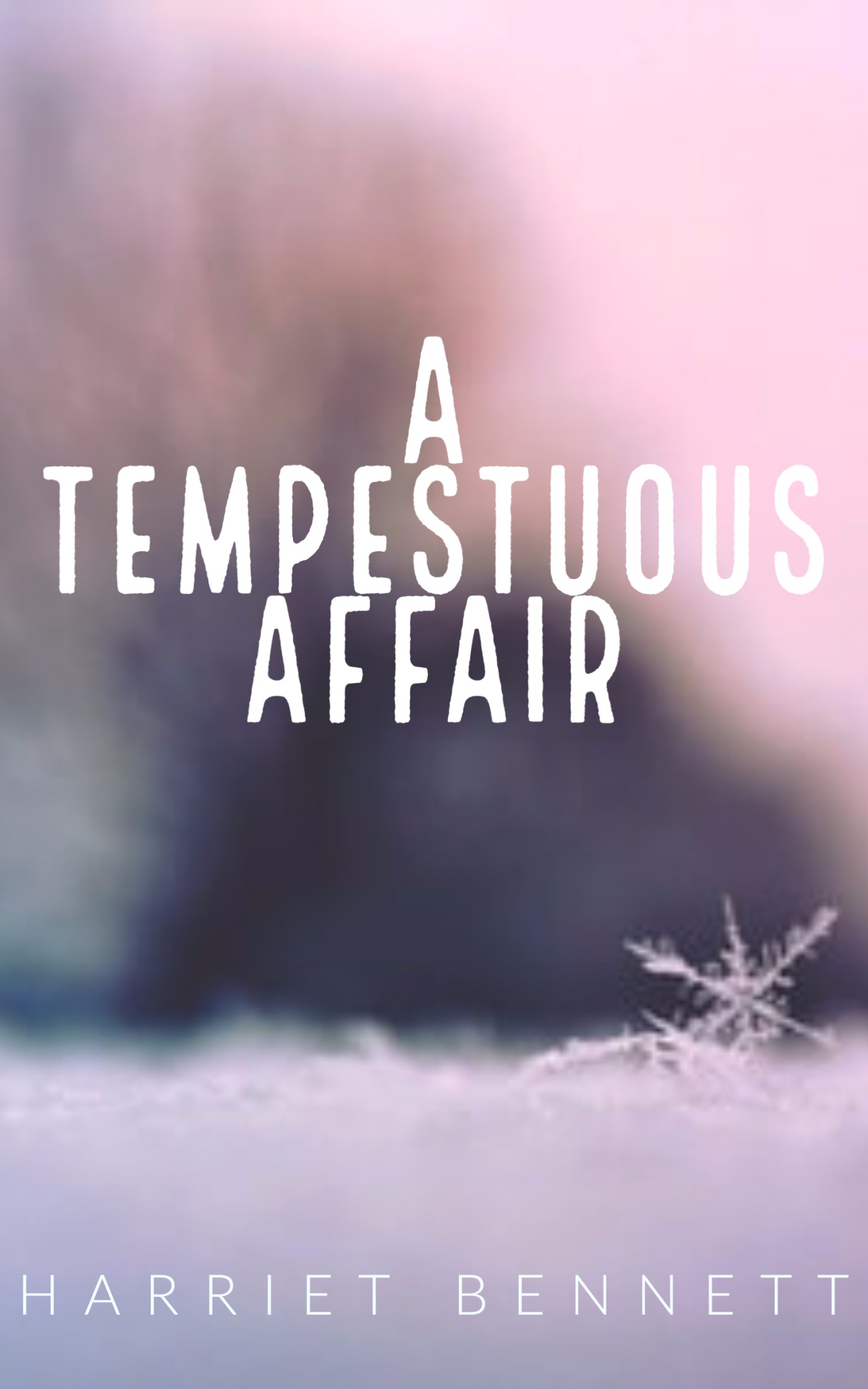 A Tempestuous Affair (Kindle Edition)