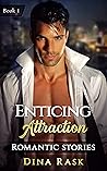 Enticing Attraction (Romantic Stories Book 1)