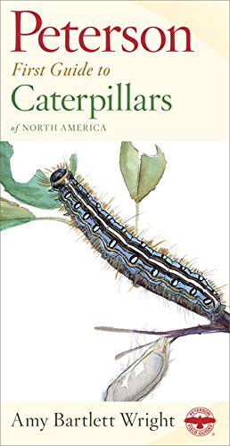 Peterson First Guide to Caterpillars of North America by Amy Bartlett Wright, Houghton Mifflin Harcourt