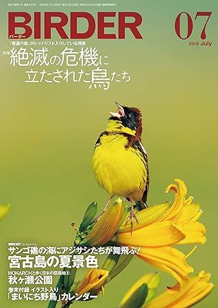 Birder バーダー 19年 07月号 雑誌 By Birder編集部