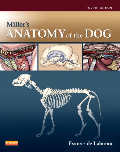 Miller's Anatomy of the Dog by Howard E. Evans PhD, Saunders (ebook)