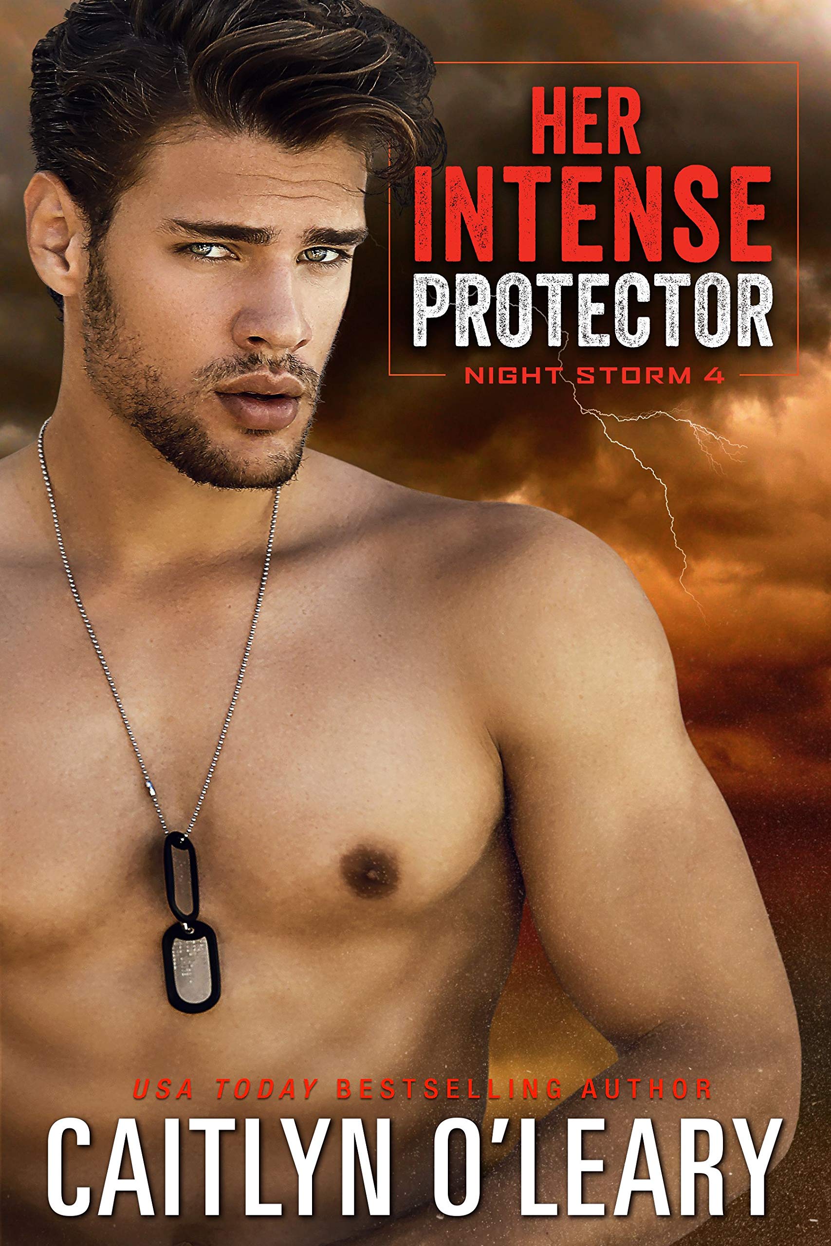 Her Intense Protector (Night Storm #4)