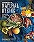 Journeys in Natural Dyeing:...