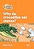 Why do Crocodiles Eat Stones?: Level 4 (Collins Peapod Readers)