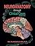 Neuroanatomy Through Clinical Cases