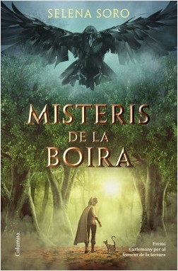 Misteris de la boira (Paperback)