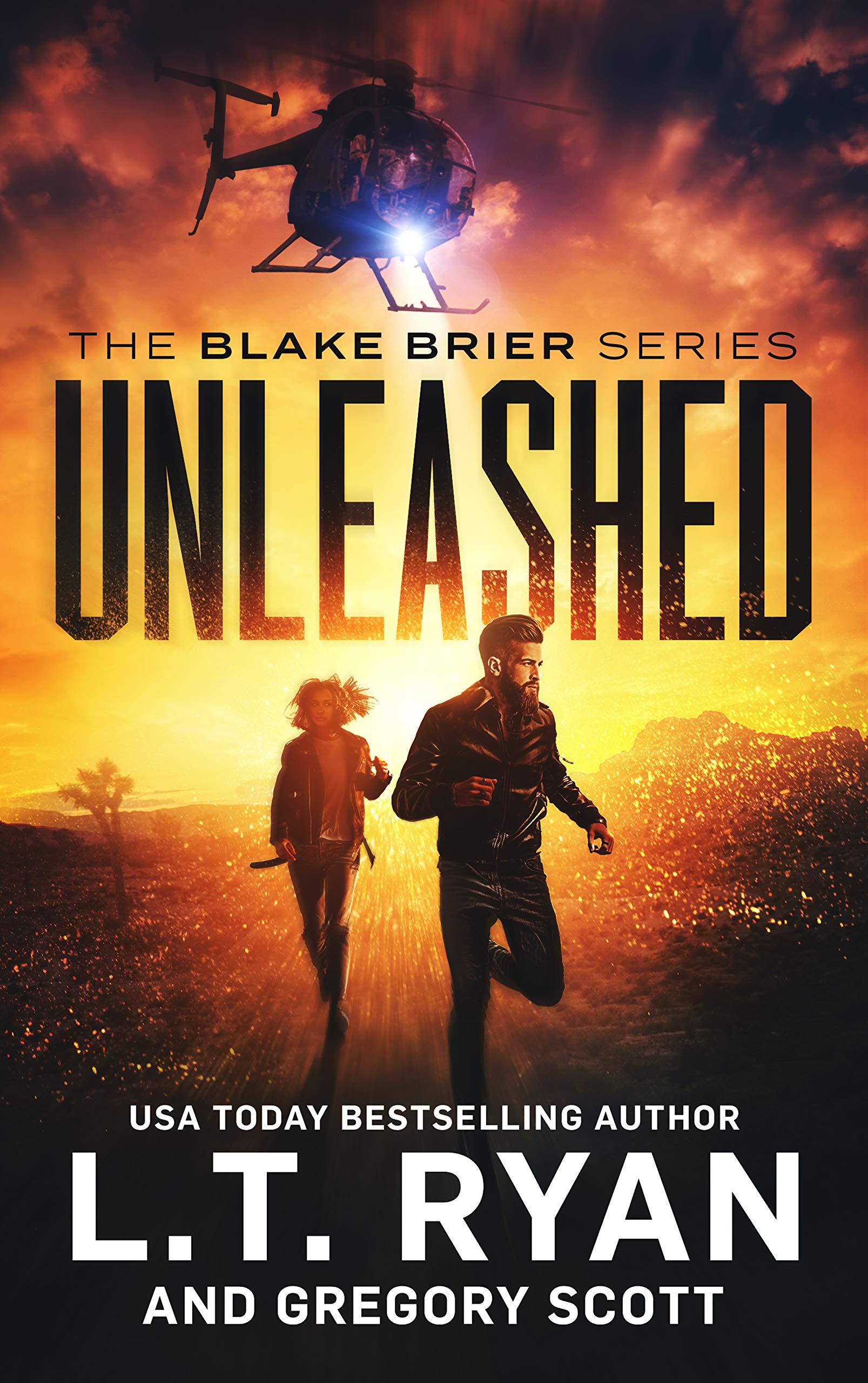 Unleashed (Blake Brier #2)