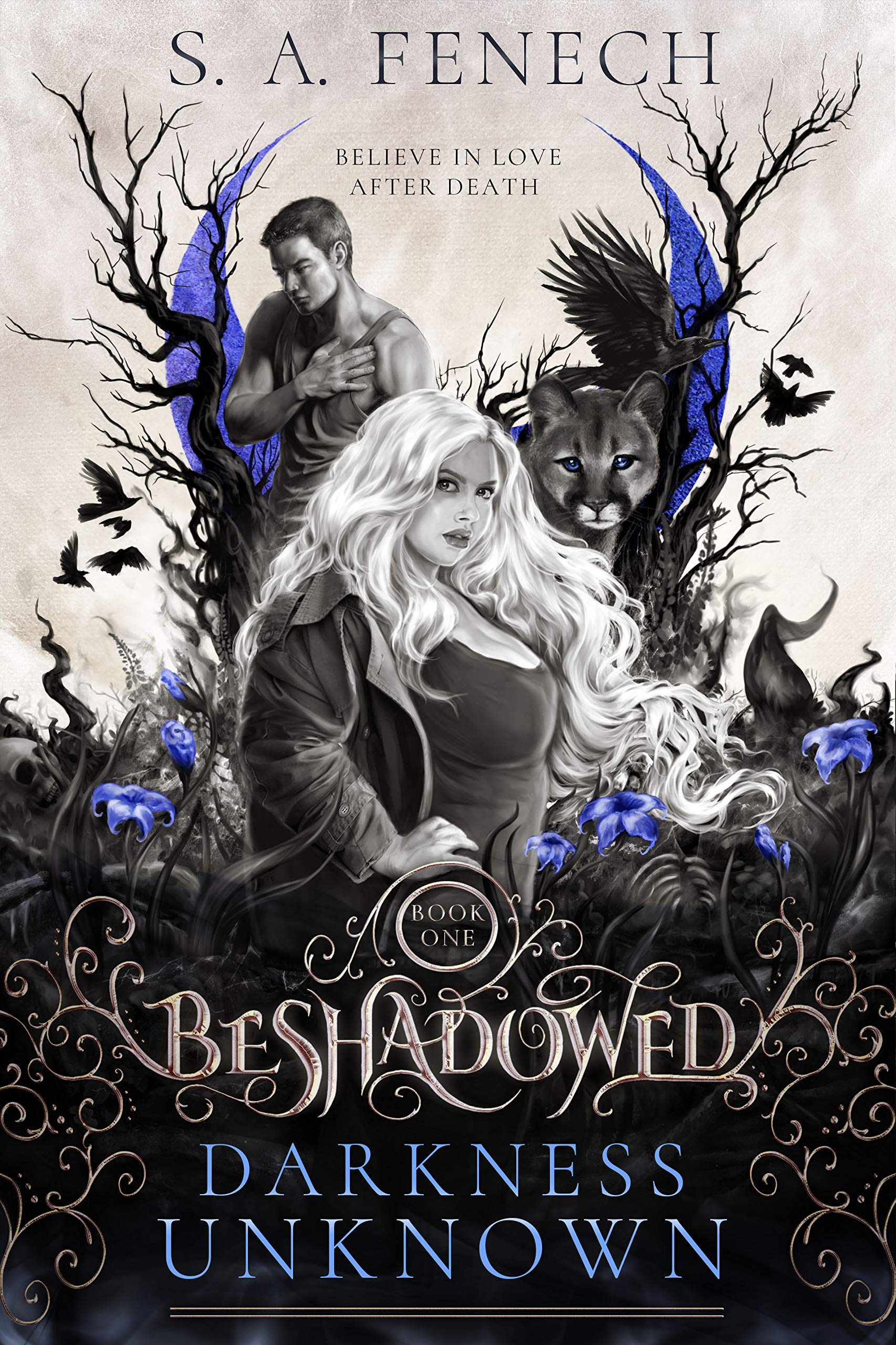 Darkness Unknown (Beshadowed #1)