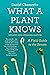 What a Plant Knows: A Field Guide to the Senses