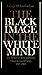 The Black Image in the White Mind by George M. Fredrikson