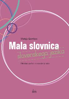 Mala slovnica slovenskega jezika: priročnik za šolo in vsakdanjo rabo