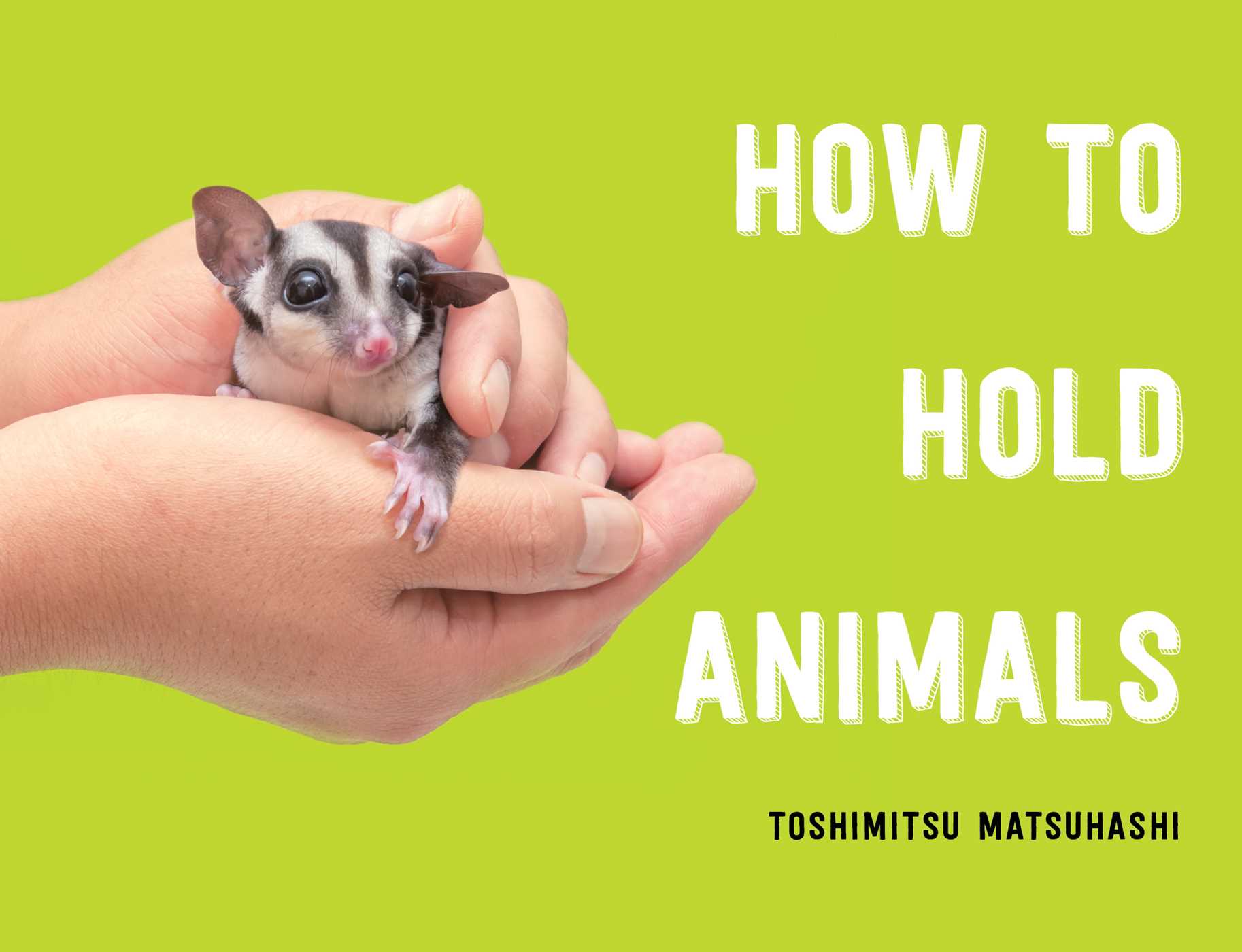 How to Hold Animals (Hardcover)