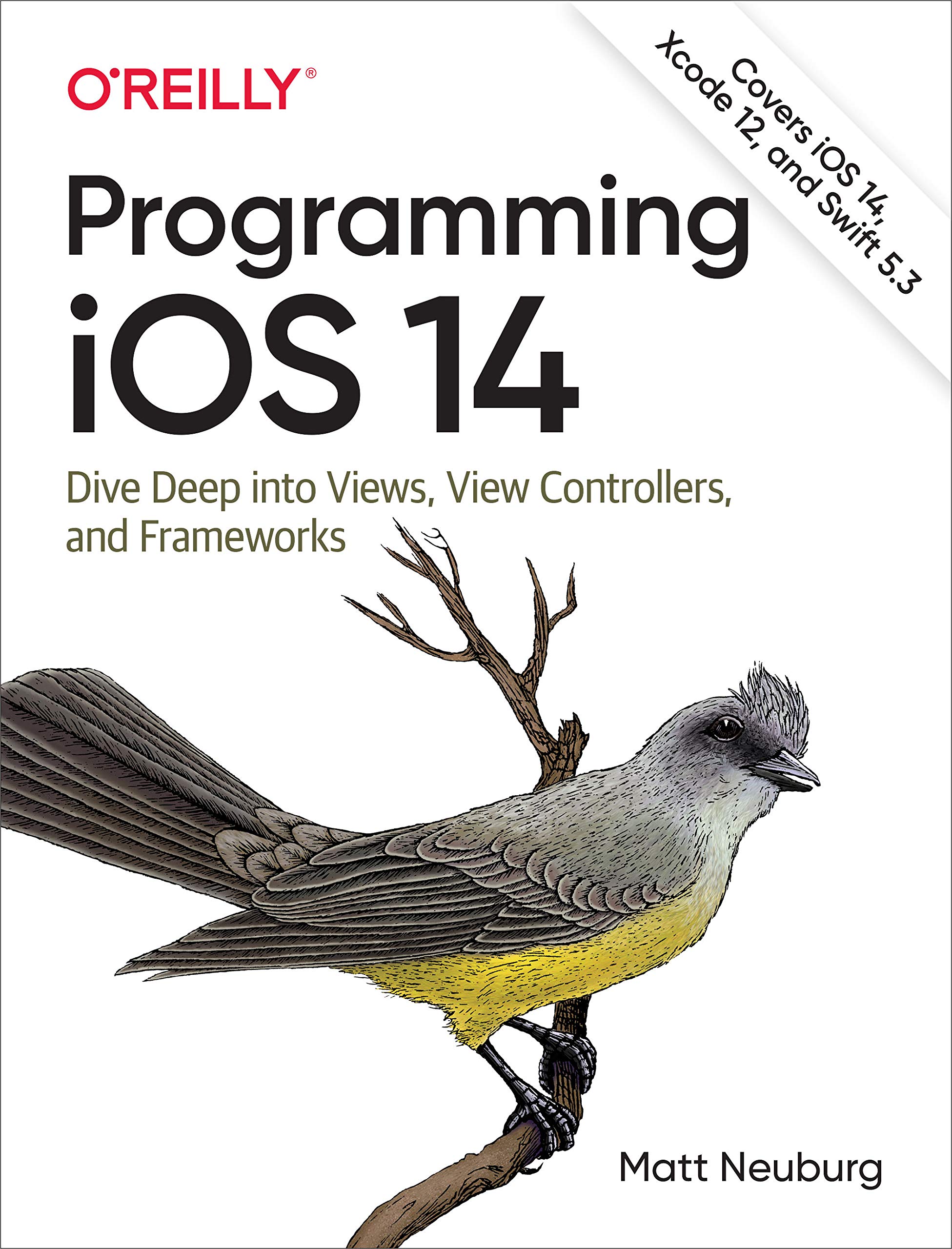 Programming iOS 14: Dive Deep into Views, View Controllers, and Frameworks (Kindle Edition)